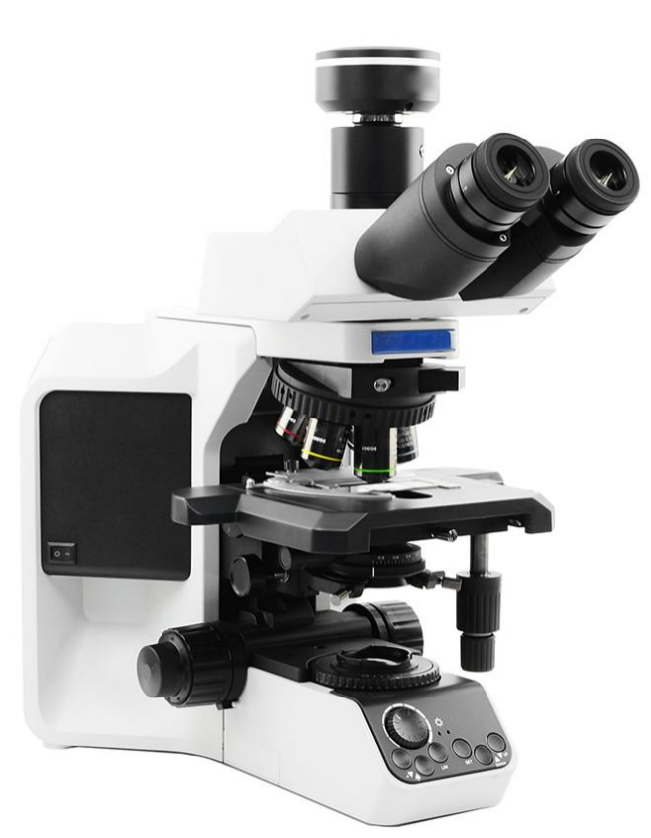 WYS-53-FLBiological Microscope